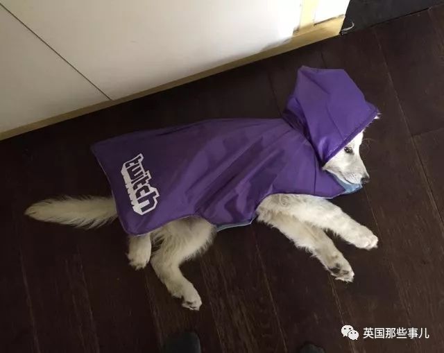 国外网友们旧物改造的成果… 创意又环保,也太心灵手巧了吧