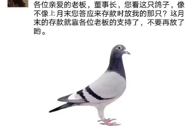 为了钱，银行打起了价格战