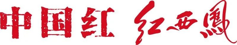 称重图集：魏锐现场怒吼，武林风52KG女子金腰带即将决出