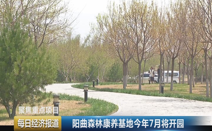 阳曲县森林康养基地将于今年7月开园