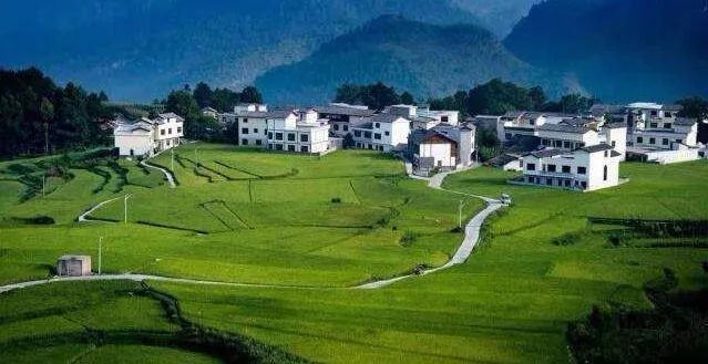 刘奇：农民进城落户难以了断的五条根脉