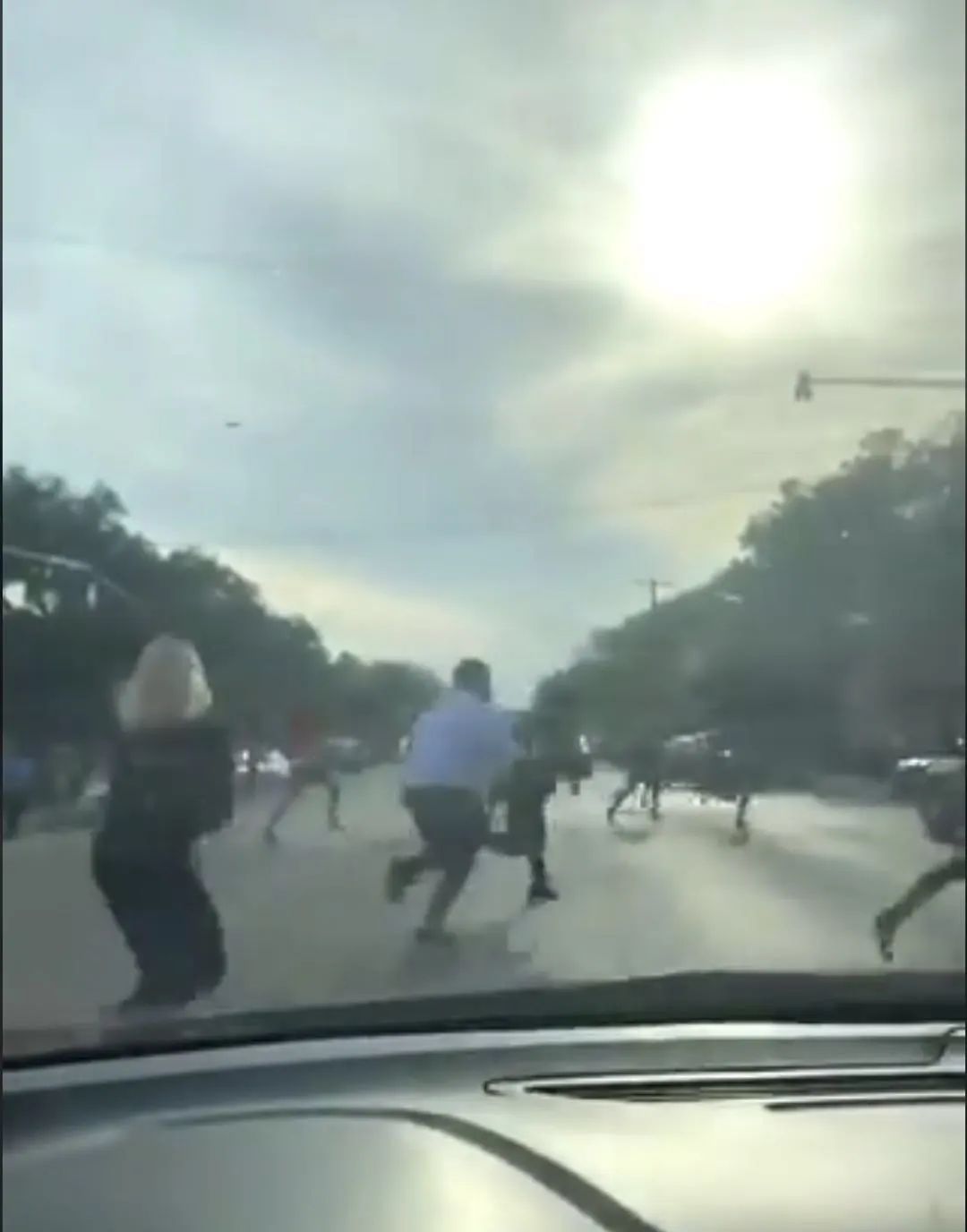 美国男子无视隔离去游泳遭鲨鱼咬死，公园传枪