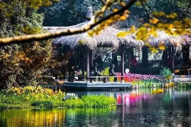 田友明等：乡村振兴战略视域下特色山地农业庄