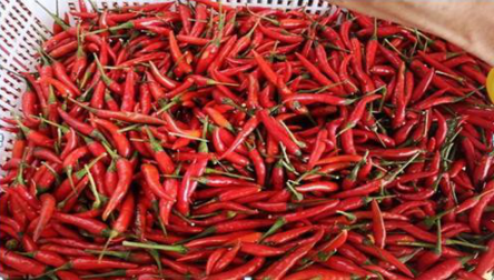 一个“卖辣椒”的故事讲透A股：亏了260万才醒悟