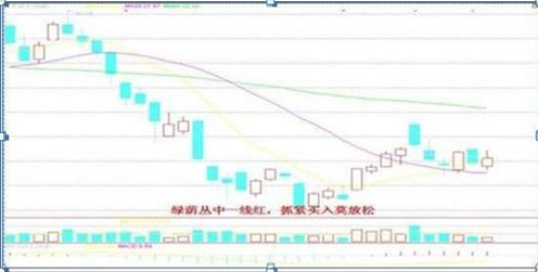 真正炒股赚钱的一种人：从7800多元入市到身价近