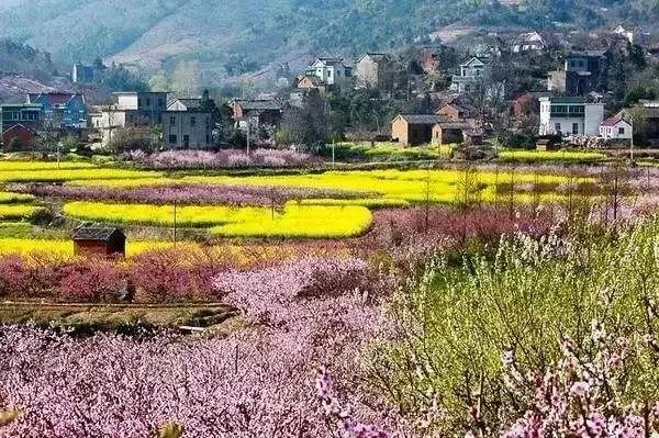 王春光：中国乡村治理结构的未来发展方向