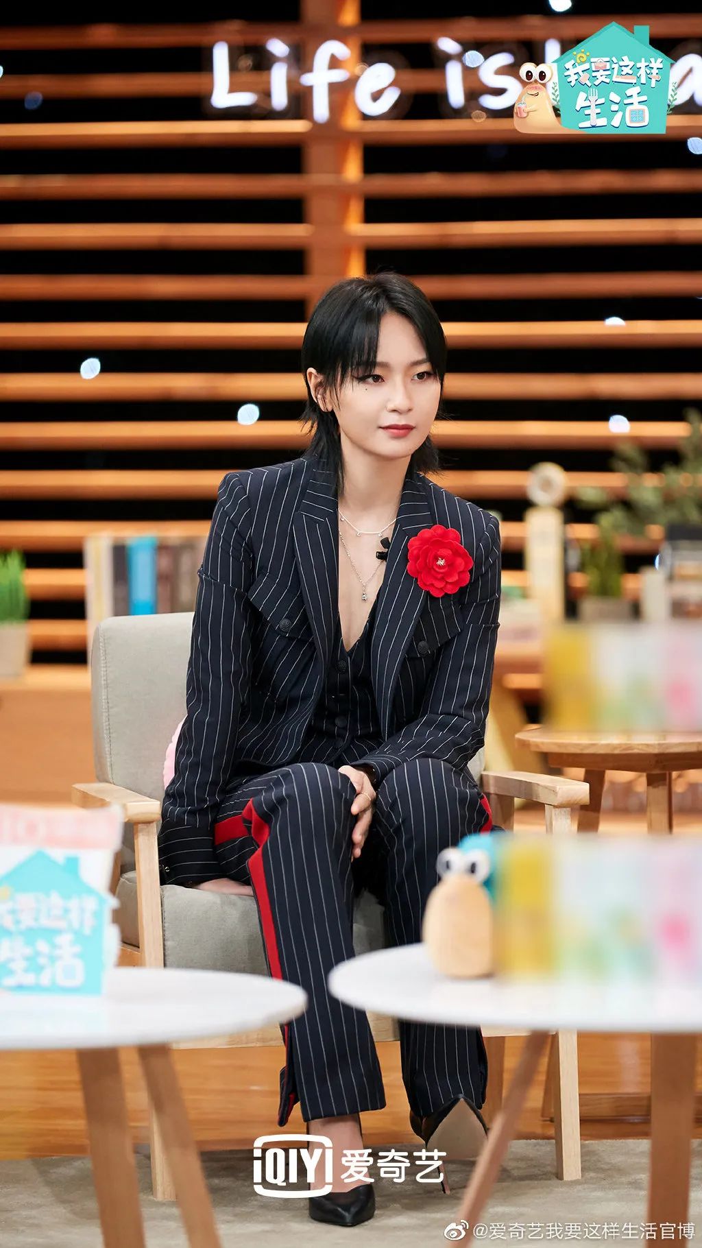 台网综艺独家前瞻｜|大热品类撞题对垒、新品成