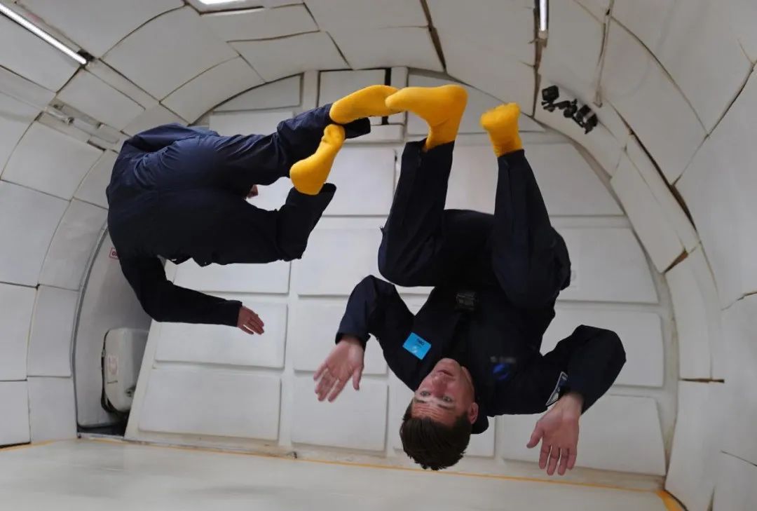 只能用“不可思议”来形容BBC这部新纪录片了