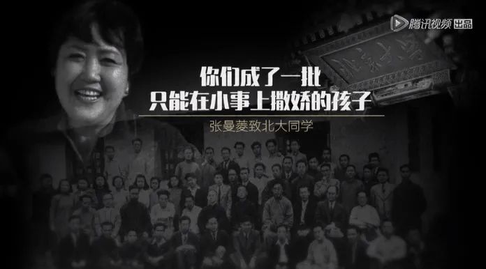 一周综艺速递｜|《汪喵物语》《鲜厨100》开播，《见字如面4》收官