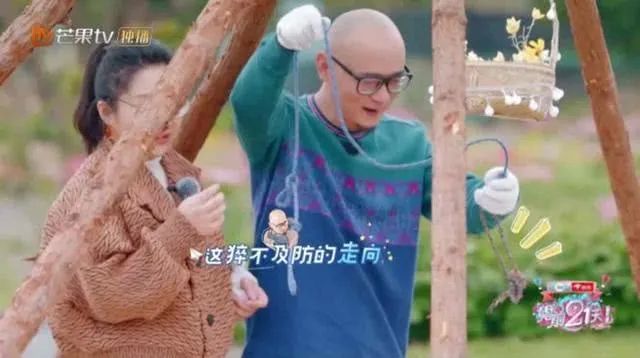 一周综艺速递｜|《汪喵物语》《鲜厨100》开播，《见字如面4》收官
