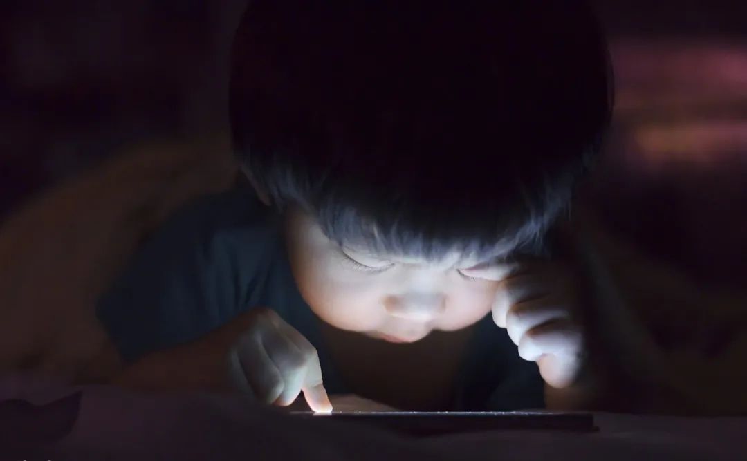 每日视听｜|爱奇艺、百度、B站发财报，《舞者》