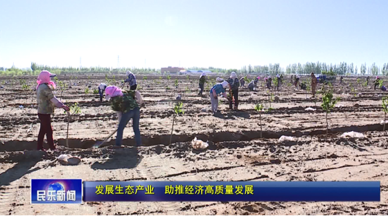 「发展生态产业 助推经济高质量发展」民乐县六坝镇：立足区位优势 发展特色产业