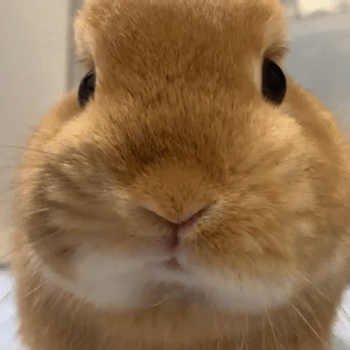 热浪来袭！阜阳明天37℃