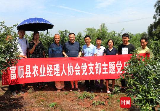 自贡富顺藤椒远销江浙台湾帮助60余农户年增收