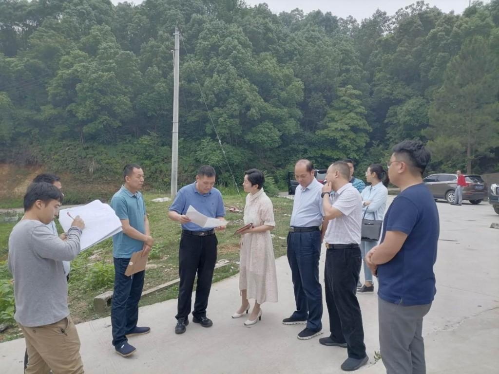 省自然资源厅来我市督导农村宅基地房地一体确