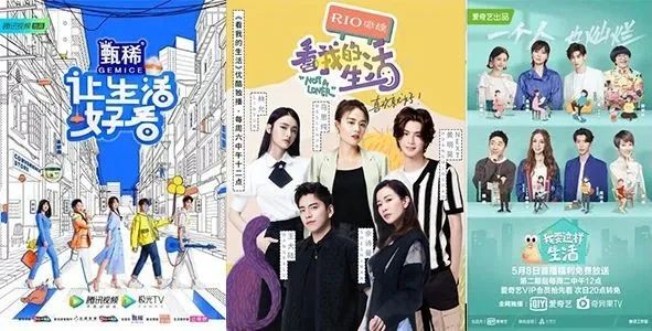 独家观察｜|独居观察类综艺集中上线，三大视频