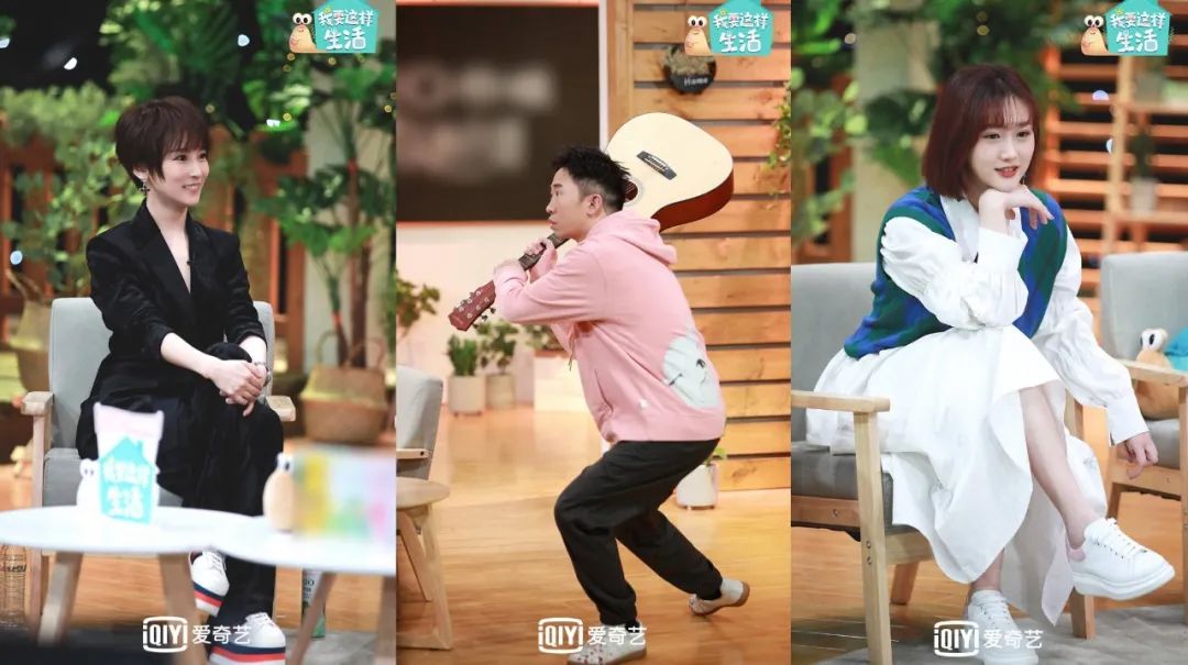 独家观察｜|独居观察类综艺集中上线，三大视频