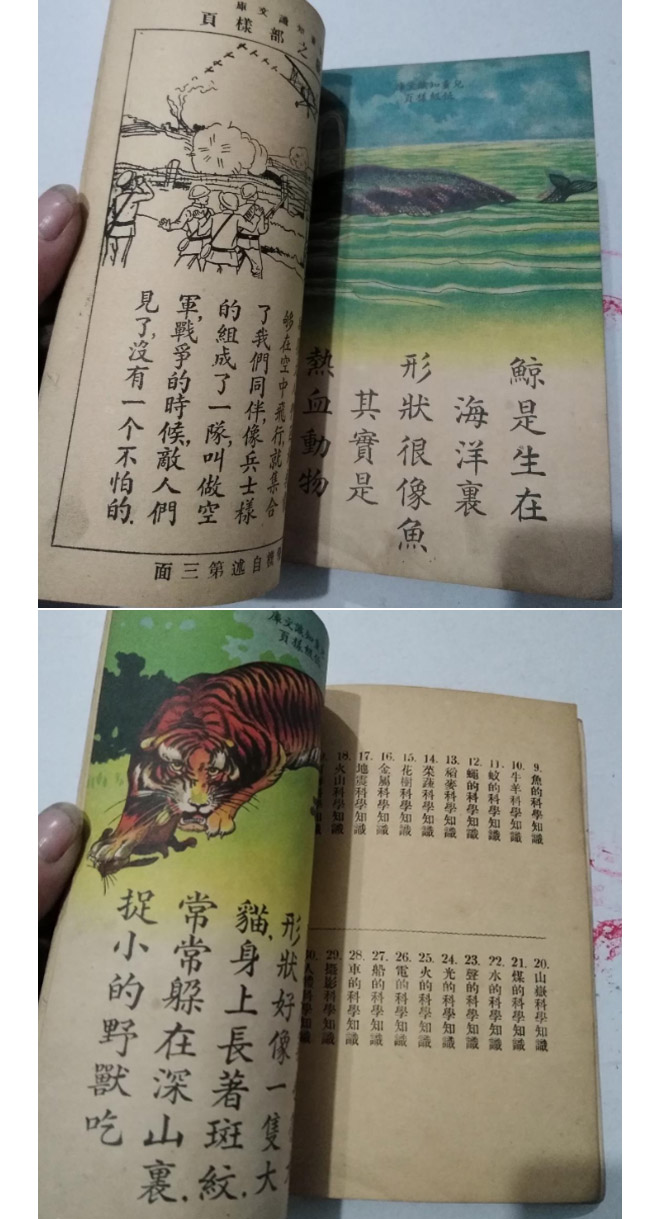 百年来儿童绘本里都讲什么样的故事