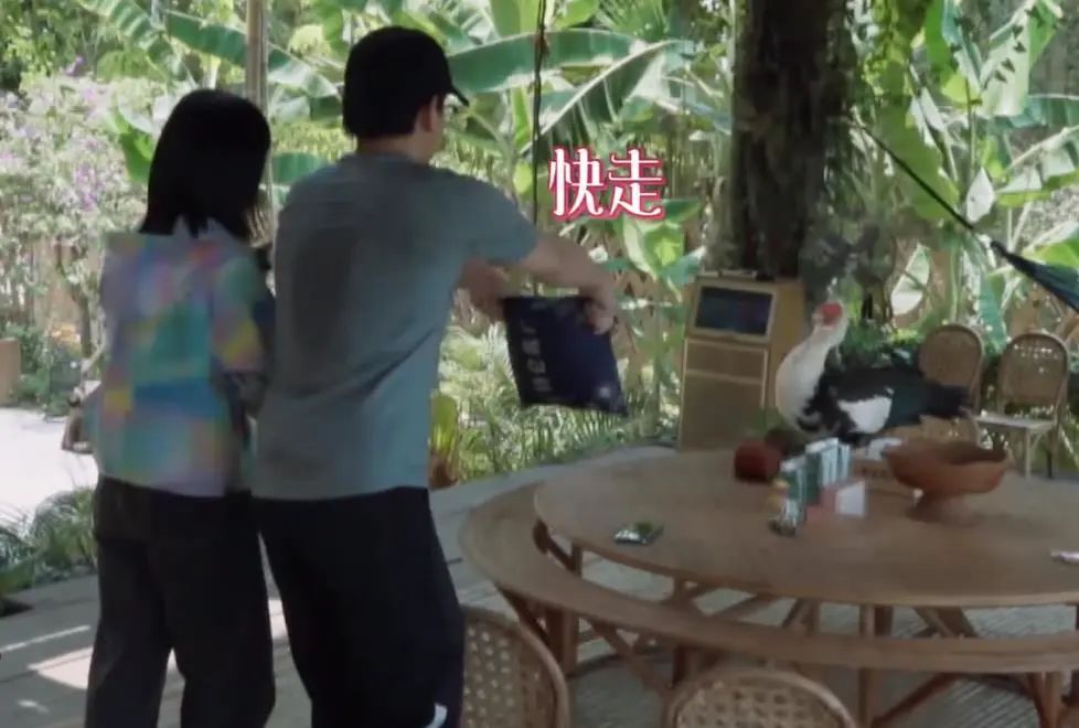 禁止对张艺兴、黄子韬、林更新、朱一龙、邓伦……发出鸡叫