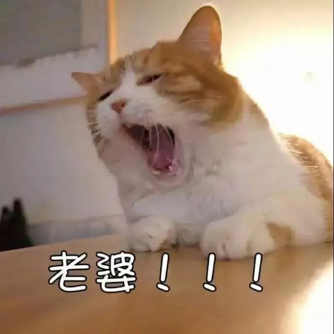 甜度爆表超甜的情侣头像一人一半,脱单必备