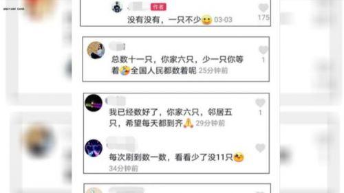 相邻两家鸭子每天自动组队出门，主人故意少放3只，鸭子竟一直等