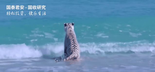 特别国债砸出黄金坑，可以乐观一点