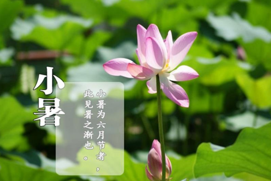 形势严峻！丹阳多条河流水位暴涨