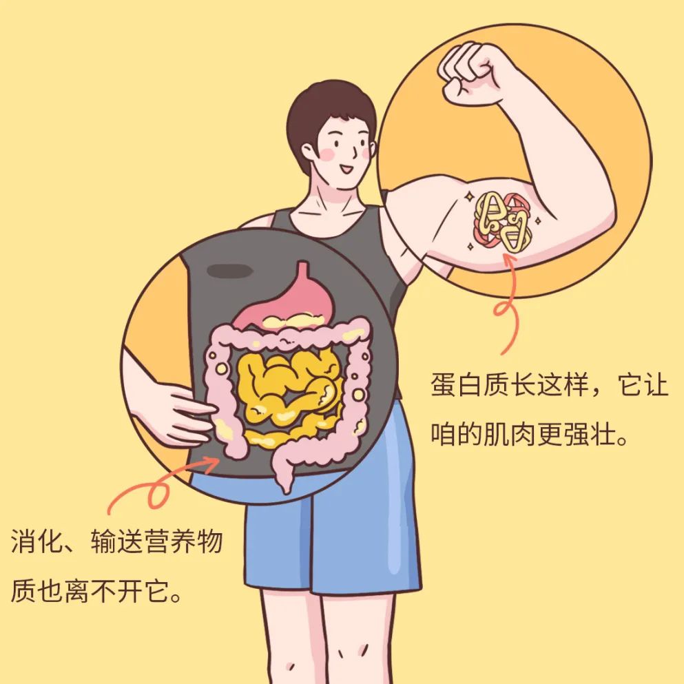 人体营养有哪些人体不能缺少的营养你补够了吗