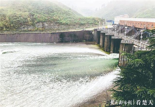 「视频」阳新富水河40多米河坝溃口，下游一农场