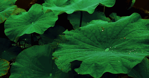 「东吴宏观」收敛中的信贷和社融扩张--6月金融