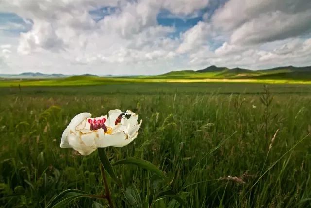 The beautiful Huamugou National Forest Park will fascinate you in minutes!