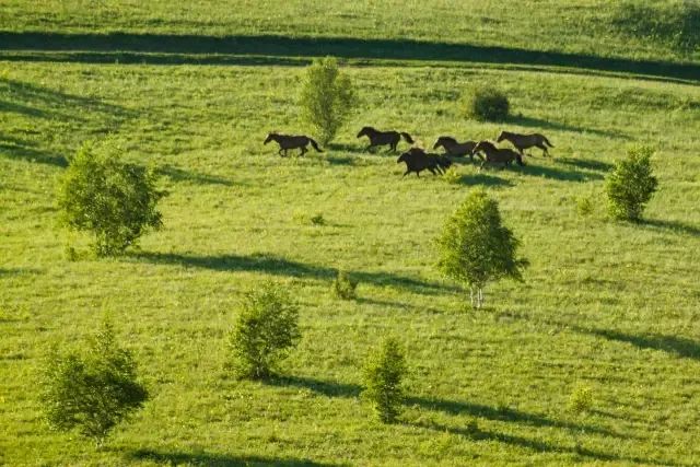 The beautiful Huamugou National Forest Park will fascinate you in minutes!