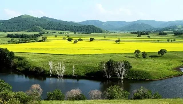 The beautiful Huamugou National Forest Park will fascinate you in minutes!