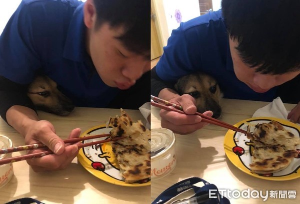 每次吃饭腋下凉凉的！幽灵狗头冒出：一口肉肉