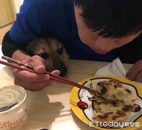 每次吃饭腋下凉凉的！幽灵狗头冒出：一口肉肉