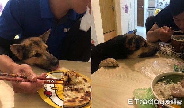 每次吃饭腋下凉凉的！幽灵狗头冒出：一口肉肉