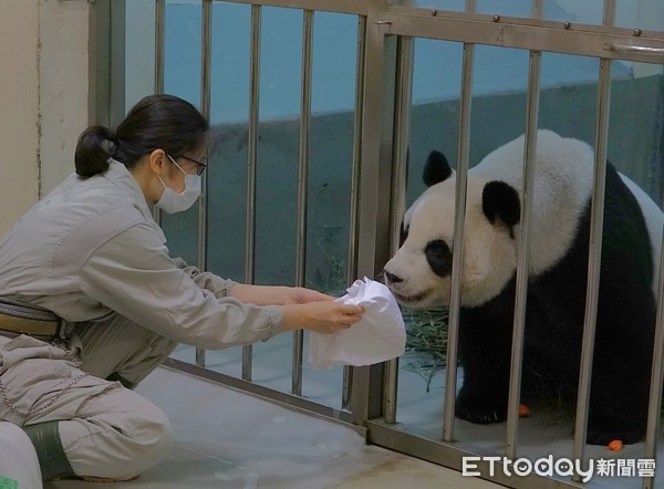 圆圆晋升二宝妈更上手　保育员笑「照猪养」换