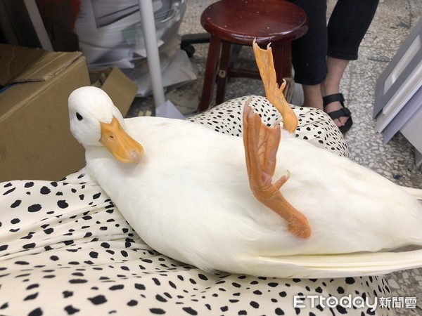 搭捷运耳边传来呱呱声“他低头一见马上融化”