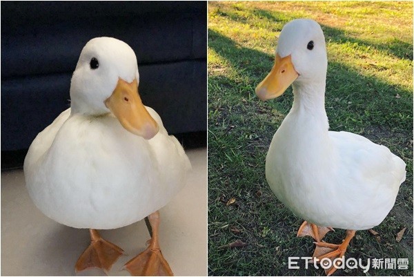 搭捷运耳边传来呱呱声“他低头一见马上融化”