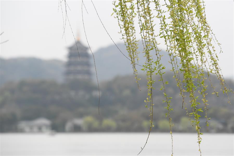 The four seasons of West Lake are different