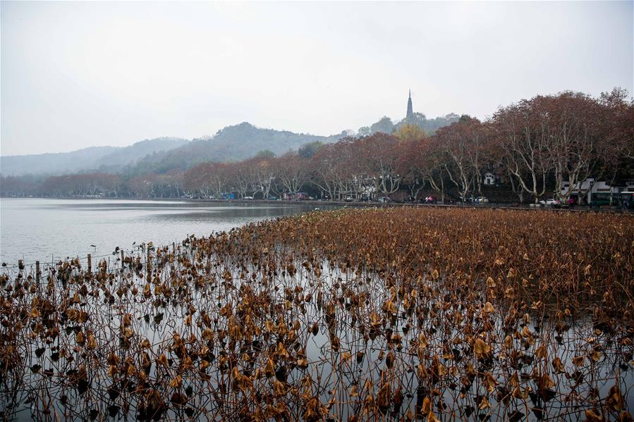 The four seasons of West Lake are different