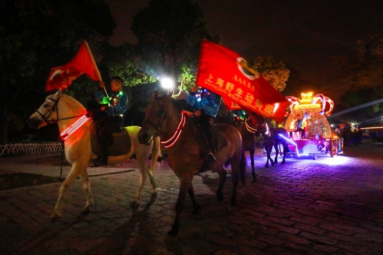 夜深了 小动物在干嘛 来野生动物园 动物园奇妙夜 看看吧 社会 蛋蛋赞