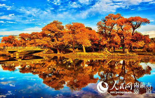 The colorful Inner Mongolia is like a painter overturning the "color palette"