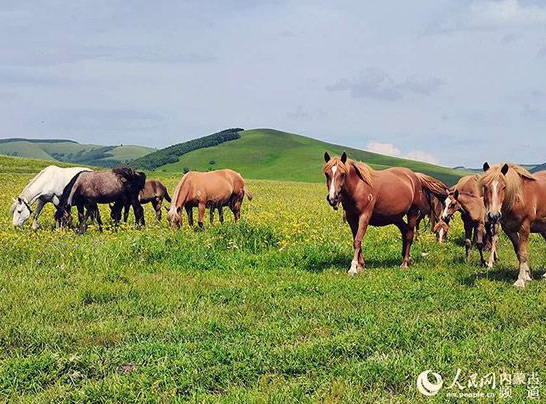 The colorful Inner Mongolia is like a painter overturning the "color palette"