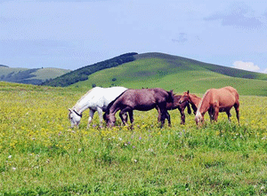 The colorful Inner Mongolia is like a painter overturning the "color palette"
