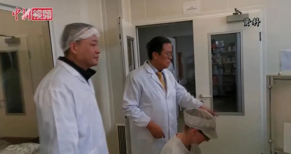 匈牙利中医师陈震：疗效提升中医药声誉 海外推广关键靠法律