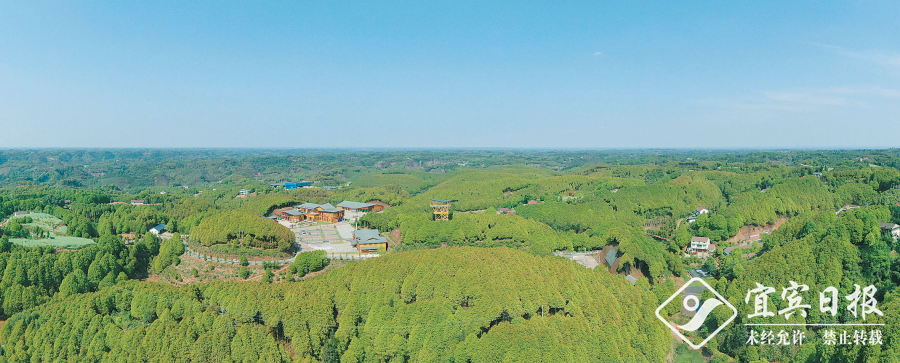 高质量建设现代特色农业强市