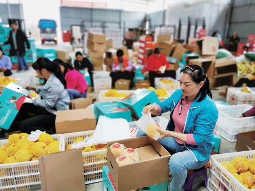 哪些產(chǎn)品可以拿到國(guó)家農(nóng)民豐收節(jié)金秋消費(fèi)季標(biāo)識(shí)？會(huì)理石榴的品牌之路