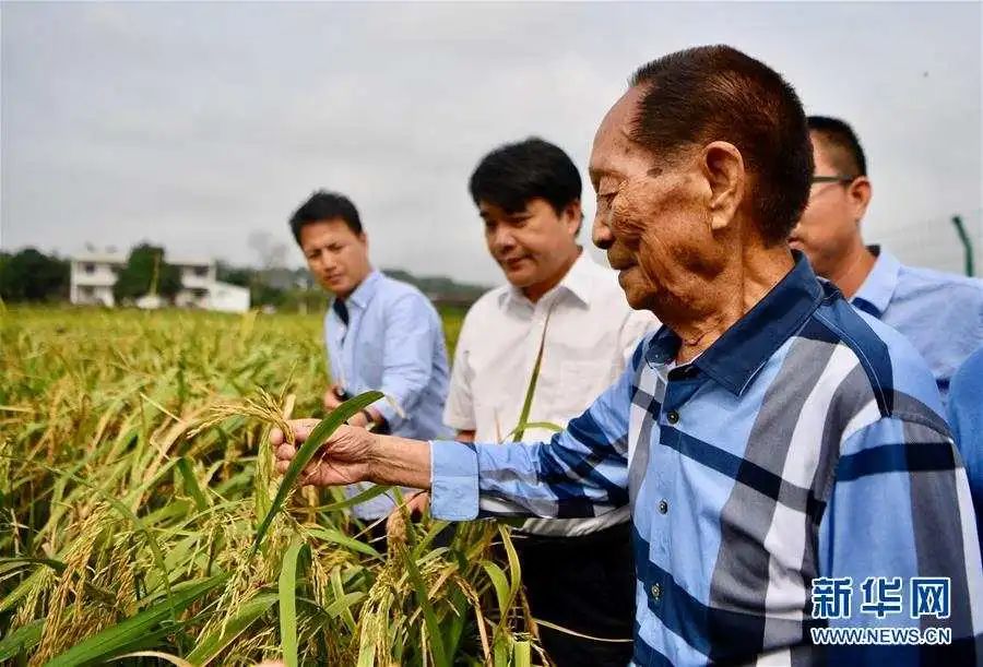 今天是袁隆平90岁生日！他昨天做了一件事，网友：可可爱爱-第11张图片-大千世界