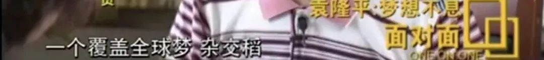 今天是袁隆平90岁生日！他昨天做了一件事，网友：可可爱爱-第13张图片-大千世界